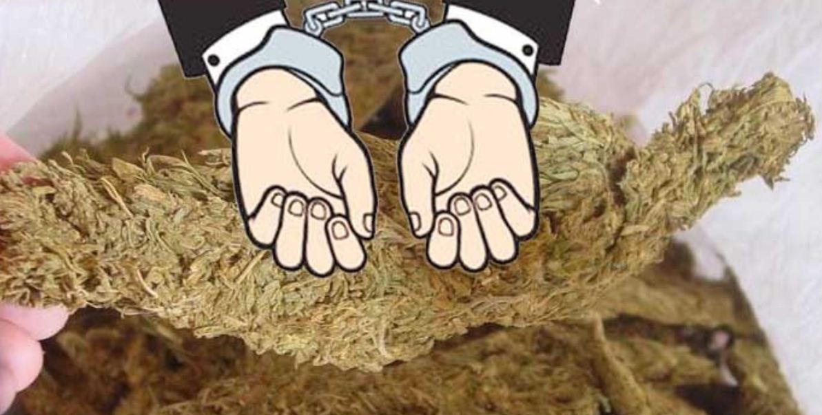 अवैध लागूऔषध गाँजासहित दुईजना पक्राउ 